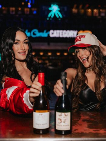 The Bella Twins