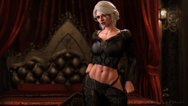 The Witcher