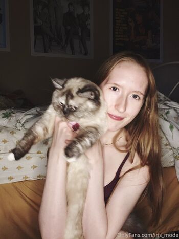 thebunnyiris