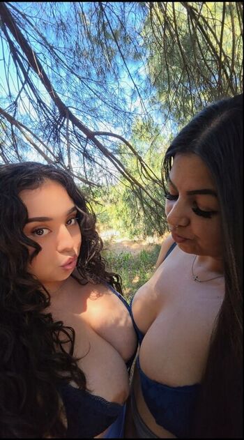 Thicerica19