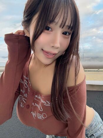 Towa Rabbit