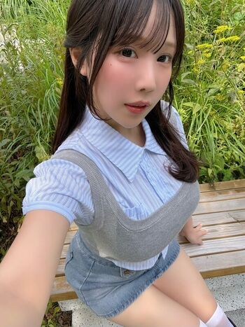 Towa Rabbit