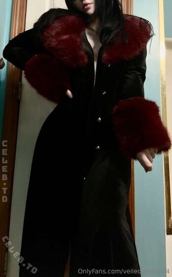 veiledvixen444