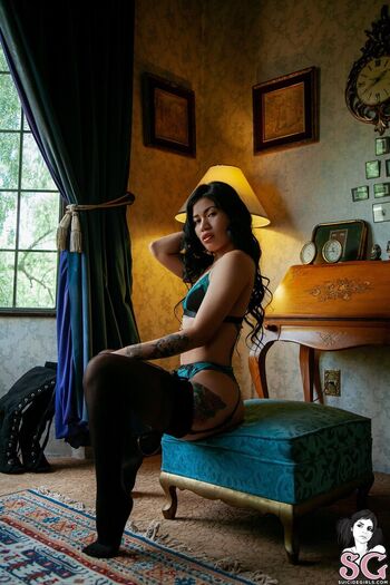 velvetmuse