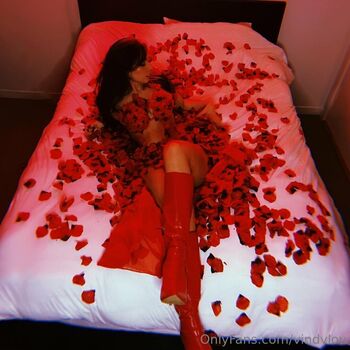 vindylou
