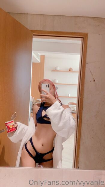 Vyvan Le
