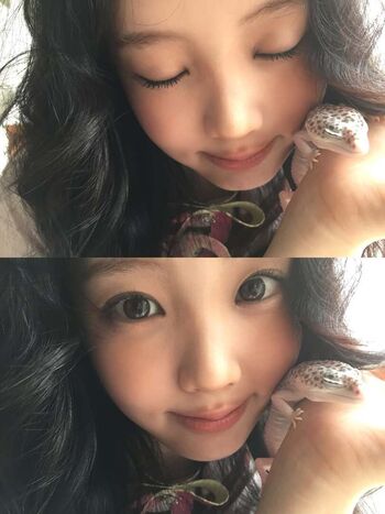 Wonhee