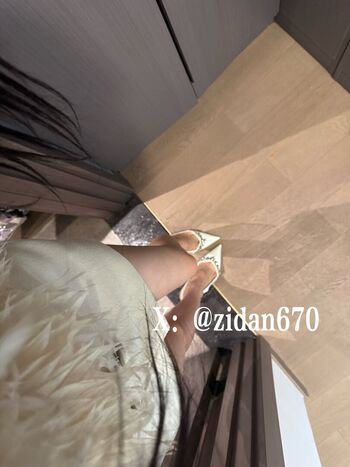 Zidan670 紫蛋